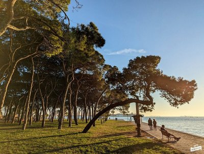 추모 공원 (파르코 델레 리멤브란체)